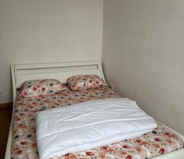 Fleury-les-Aubrais House | Chambre double chez habitant