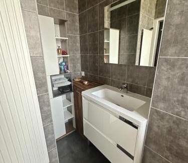 Fleury-les-Aubrais House | Chambre double chez habitant