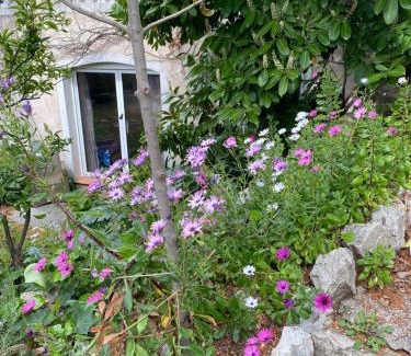 Le Cannet Bed & Breakfast | Chambre spacieuse indépendante dans villa plus parking privée