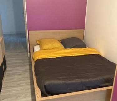 Blagnac House | Chambres chez l'habitante Hermès à Blagnac