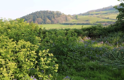 Alcombe Cottage | Chapel Cottage, Nr Minehead