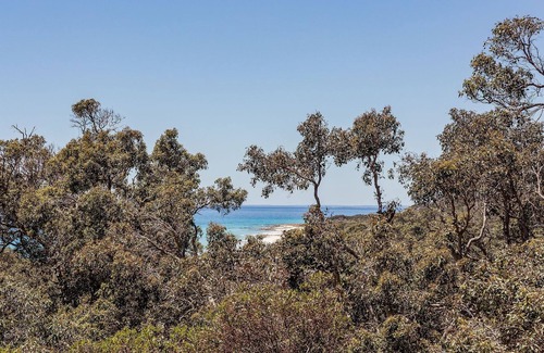 Eagle Bay House | CHARACTER FILLED EAGLE BAY ESCAPE OFFERING BLISSFUL VIEWS THROUGH THE TREETOP