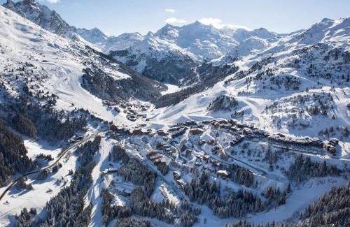 Meribel-Mottaret Apartment | Charmant 2 pièces avec balcon, animaux admis, WIFI - FR-1-182-32