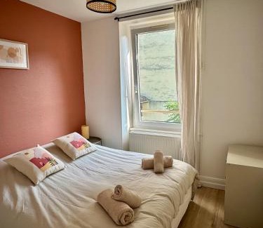 Mulhouse Apartment | Charmant Appartement Mulhouse
