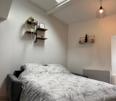 Cholet Apartment | Charmant Duplex en Centre-ville Proche du Puy-du-fouu