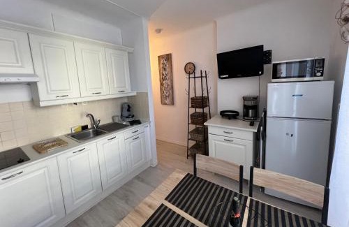 Amelie-les-Bains-Palalda Apartment | Charmant logement entre mer et montagne idéal pour cure thermale