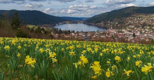 Gerardmer Apartment | Charmant logis Gérardmer