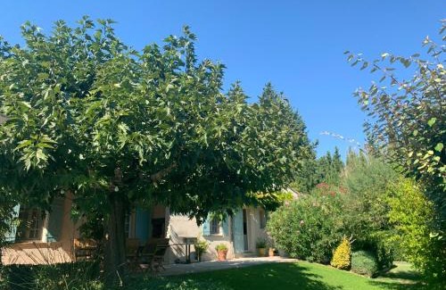 Paradou House | Charmant Mas à Paradou avec Piscine, Terrasse et Jardin, Près des Alpilles - FR-1-599-35
