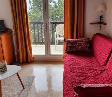 Font-Romeu-Odeillo-Via Apartment | Charmant studio face aux Pyrénées