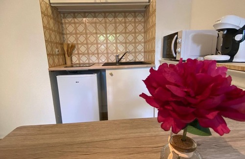 Alco Apartment | Charmant Studio Avec Jardin Privé