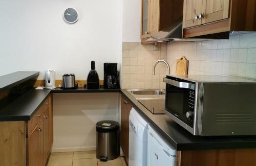Les Gets Apartment | Charmant T2 cab au cœur du vieux village des Gets, balcon, proximité pistes et commerces, 3 étoiles - FR-1-598-20