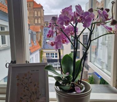 Rostock Apartment | Charmante Ferienwohnung im Herzen von Rostock