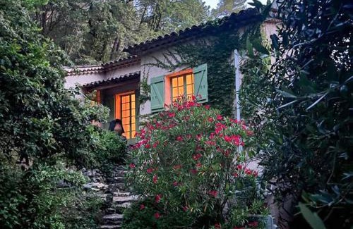 Trans-en-Provence Villa | Charmante Maison Provençale avec Piscine et Oliveraie à Trans-en-Provence - FR-1-728-11