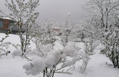 Veyrier-du-Lac House | Charmante Vue sur Lac