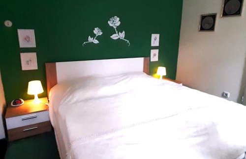 Wildemann Apartment | Charmantes Refugium, Harz