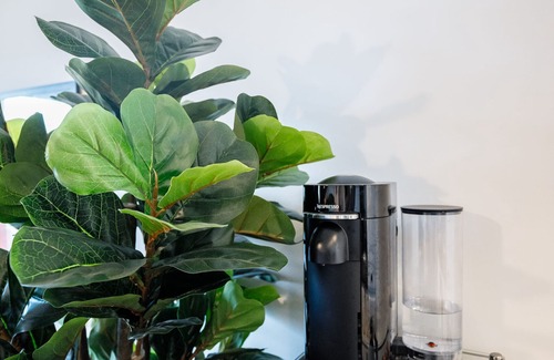 Brent Apartment | Charming 1-bed Apartment in London