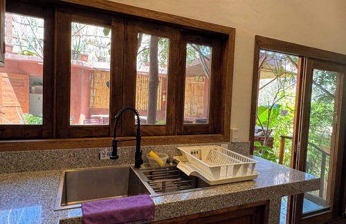San Agustinillo Apartment | Charming 1-bedroom apartment garden and ocean view San Agustinillo with AC