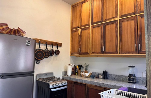 San Agustinillo Apartment | Charming 1-bedroom apartment garden and ocean view San Agustinillo with AC