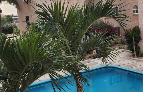 Ampliacion Juarez Condo | Charming 1-bedroom Cabo condo, walkable, WiFi, AC, near beaches and nightlife!