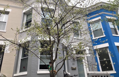 Eckington Apartment | Charming 1-bedroom apartment in lovely Washington with WiFi, AC
