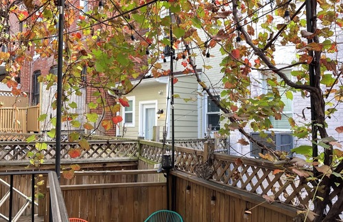 Eckington Apartment | Charming 1-bedroom apartment in lovely Washington with WiFi, AC