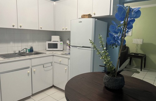 Belair Estates Apartment | Charming 1 bedroom apt with king size bed in pleasant Nassau - KBG #2