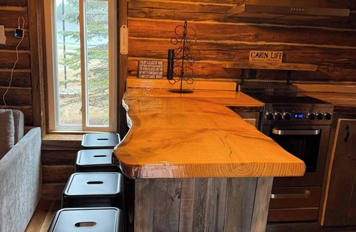 Harrison Cabin | Charming 1-bedroom cabin in lovely Harrison with AC, WiFi