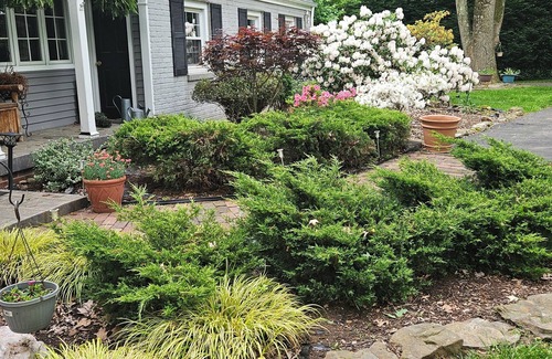 Youngstown House | Charming 1-bedroom queen size bed in house in quaint Youngstown