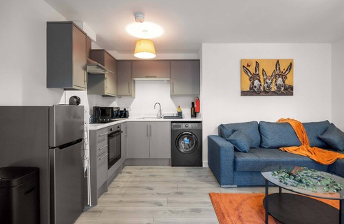 Belfast Apartment | Charming 1 BR apartment, walk to city centre