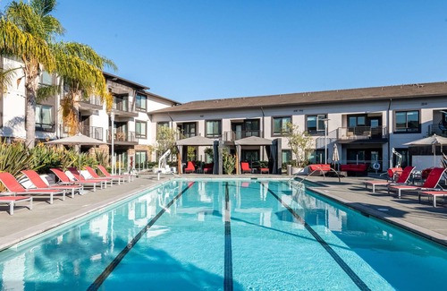 Morse Park Apartment | Charming 1BR in Sunnyvale, Gym + Parking