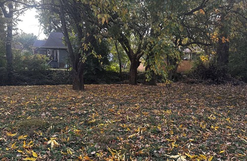 Gallatin Cottage | Charming 2-bedroom cottage with WiFi, AC in brilliant Gallatin