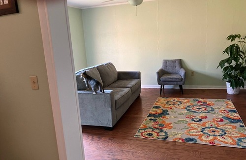 Oxford House | Charming 2-bedroom house with AC in Oxford