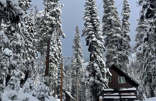 Echo Lake Cabin | Charming 2-bedroom cabin by Sierra Ski hill