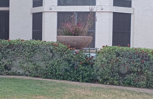 Windhaven House | Charming 3-bedroom house with pool , WiFi, AC in fantastic Gilbert