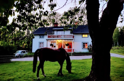 Horndal House | Charming 6 Bedroom House & Horse Farm - Sleeps 12