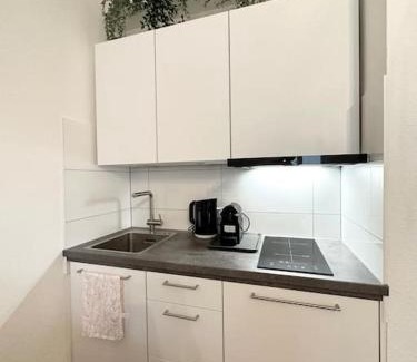 Freiburg im Breisgau Apartment | Charming Apartment-City Center