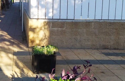 El Roc de Sant Gaieta Apartment | Charming Apartment Oceanfront/Bara Beach