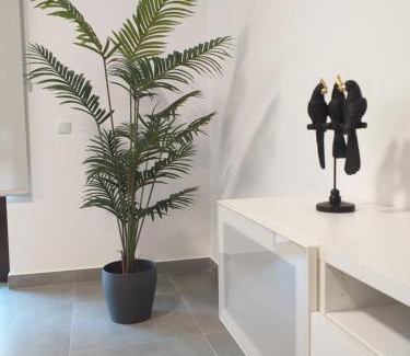 Lagos Apartment | Charming Apartment A.M
