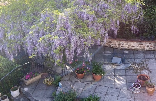 Reynes Apartment | Charming apartment in a tranquil countryside setting where the Pyrenees meet the Mediterranean Sea