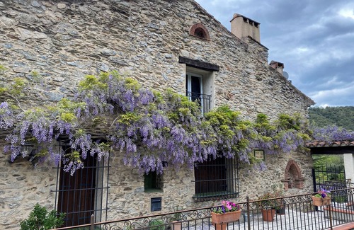 Reynes Apartment | Charming apartment in a tranquil countryside setting where the Pyrenees meet the Mediterranean Sea