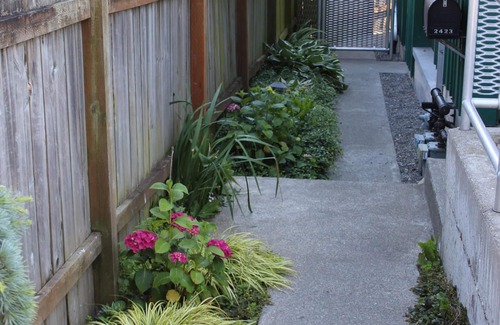 Ballard Apartment | Charming Ballard Studio: King Bed, Private Backyard, EV Charging & Parking