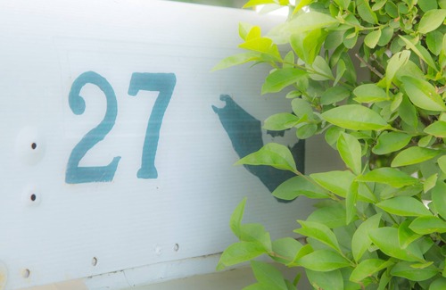 Brant Point House | Charming Brant Point 4 bedroom cottage with deck and private yard
