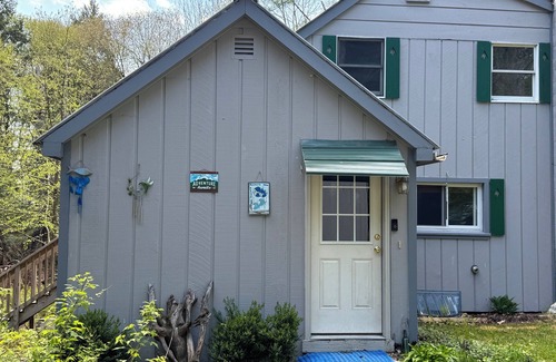 Denmark Cabin | Charming cabin,Lake access, Serene setting! Backyard bubbling brook!Pets welcome