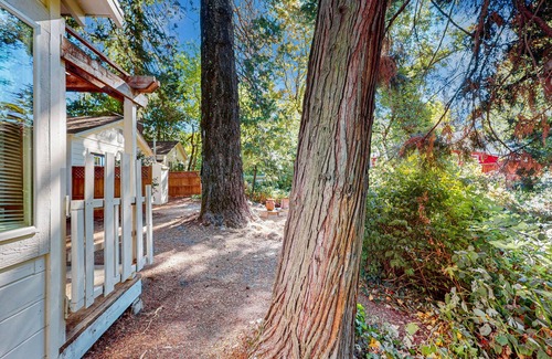 Lake County Apartment | Charming cabin with King Bed, WIFI situated along the natural spring.