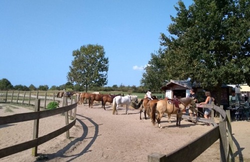 Fehmarn RV Rental | Charming caravan on the sunny island of Fehmarn
