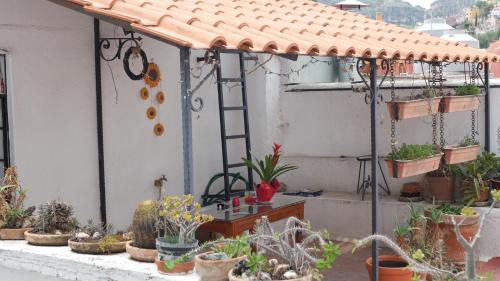 Zona Centro Apartment | Charming Cocoon with Balcony - Historic downtown