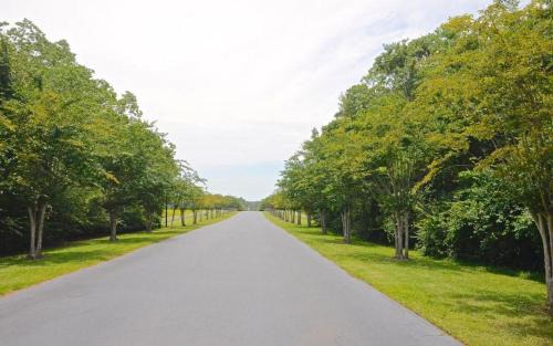 Gulf Shores House | Charming Condo with luxe amenities less than 10 minutes from the Beach