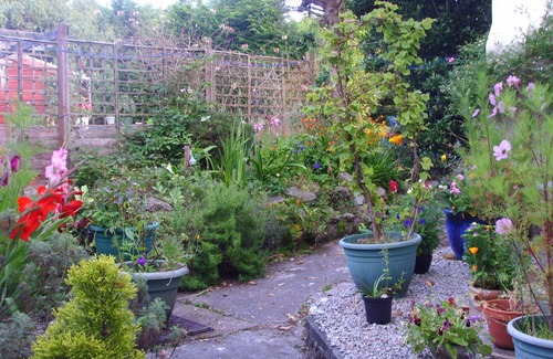 Lanner Cottage | Charming Cosy Annexe near Falmouth Portreath Central for exploring Cornwalln