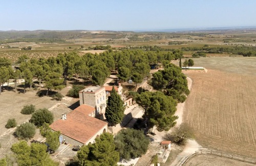 Espira de l'Agly Other | Charming cottage