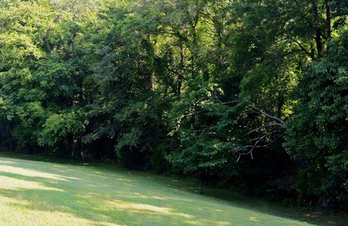 Woodbury Cottage | Charming Cottage on 35 Acres